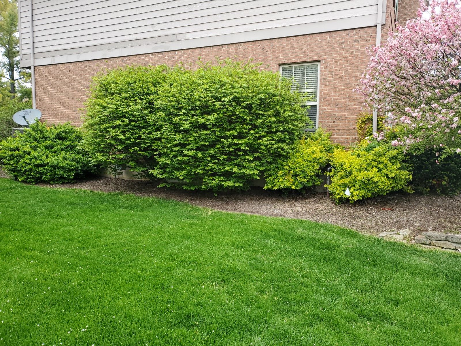A house with a lush green lawn and bushes in front of it.