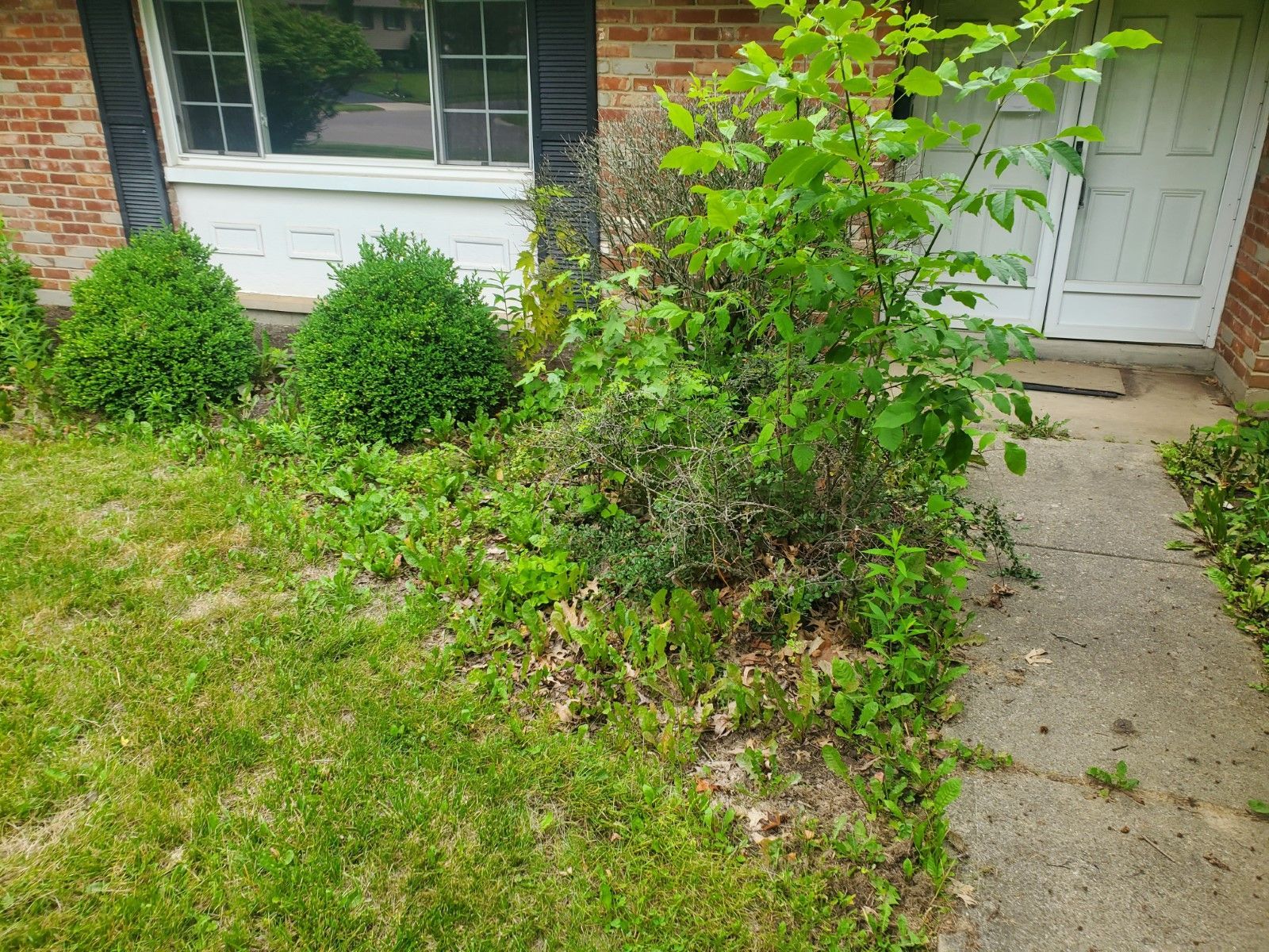 A brick house with a lawn and bushes in front of it.