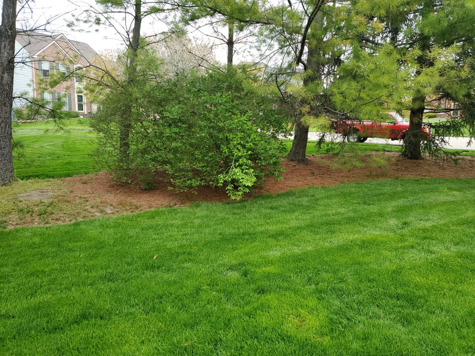 A lush green lawn with trees in the background and a house in the background.