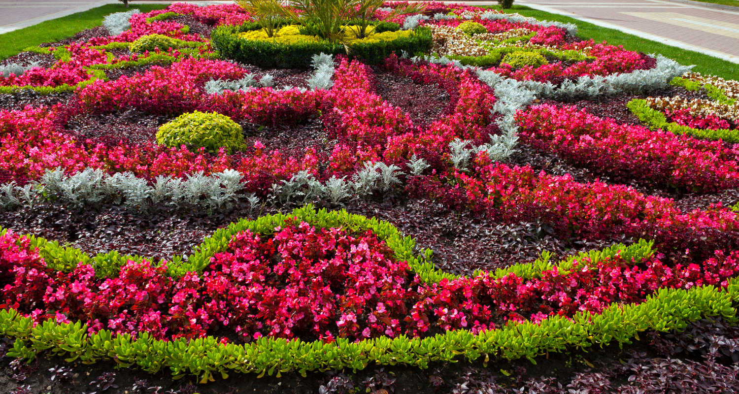 There are many different types of flowers in this garden.