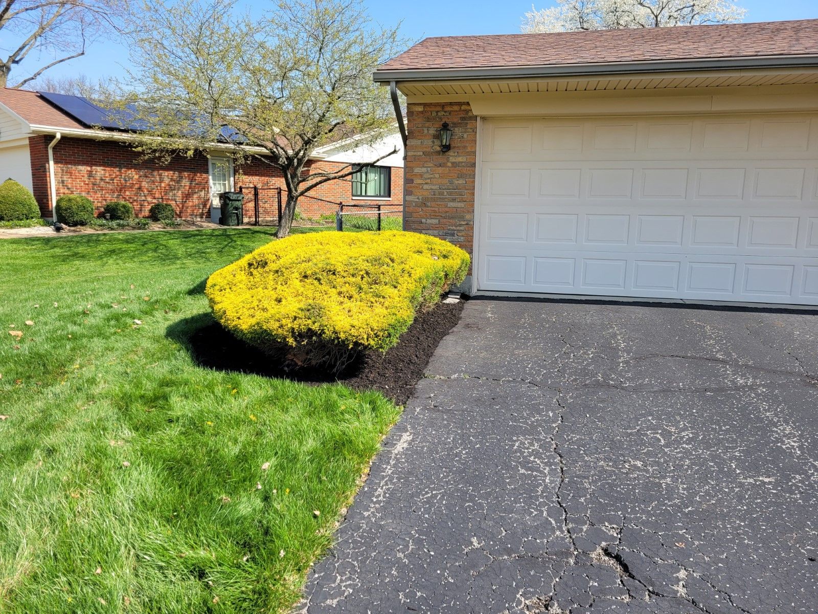 A man is cutting a bush with a pair of scissors.
