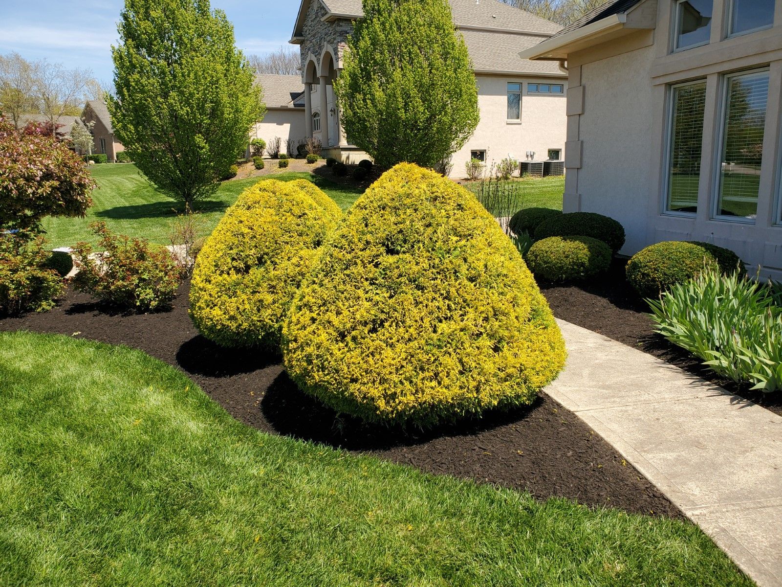 A house with a lush green lawn and bushes in front of it.