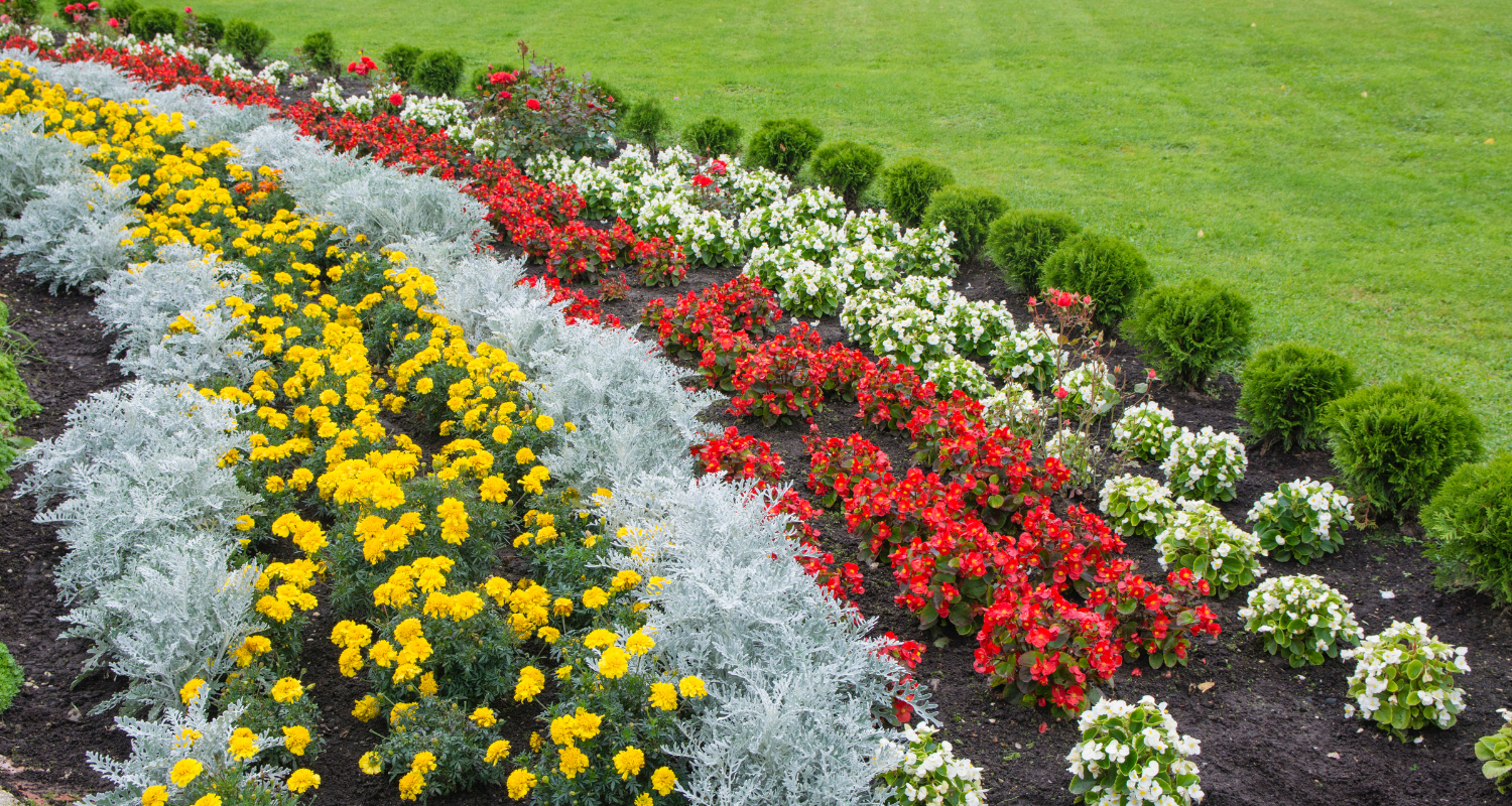 Well kept lawn and driveway area.