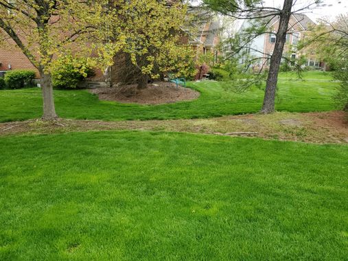 A man is kneeling down and rolling a roll of turf on a lawn.