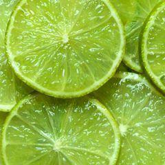 Tahitian Lime — Emerald, VIC — Emerald Gardens Nursery