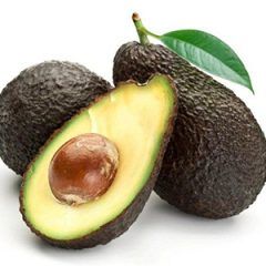 Avocado — Emerald, VIC — Emerald Gardens Nursery