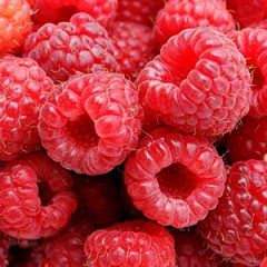 Raspberry — Emerald, VIC — Emerald Gardens Nursery