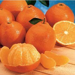 Tangelo — Emerald, VIC — Emerald Gardens Nursery