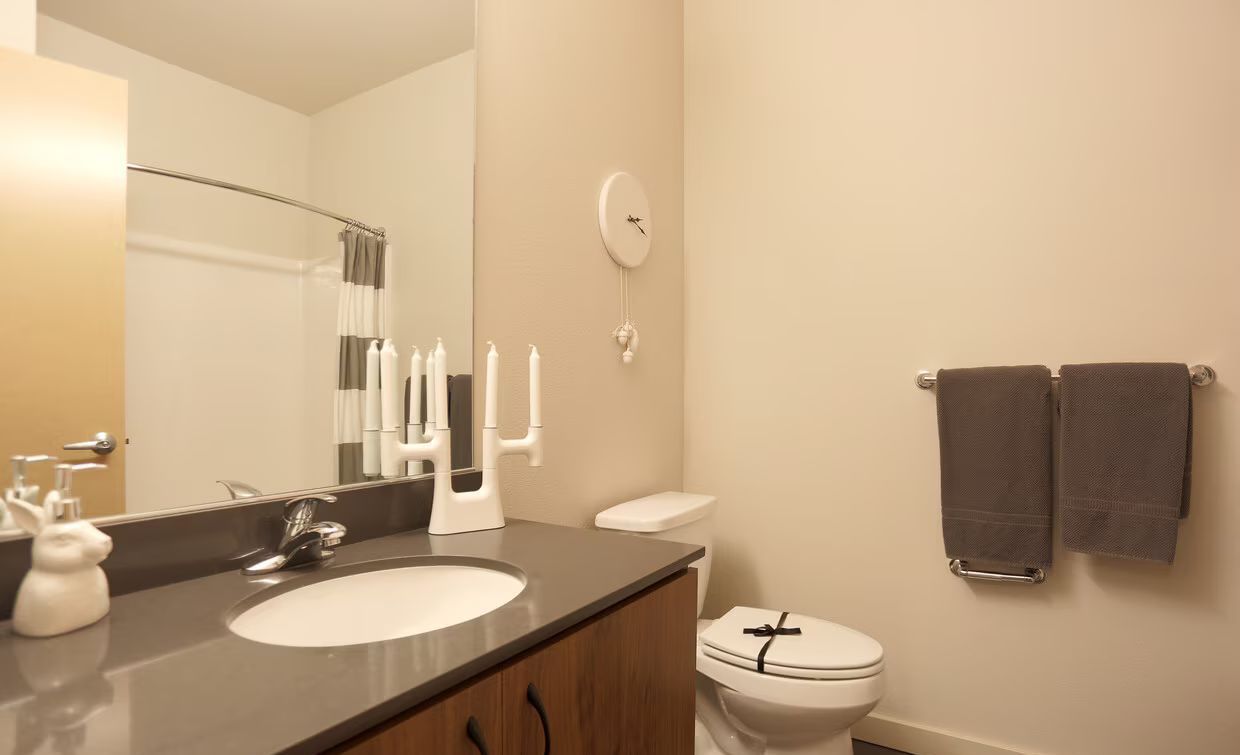 A bathroom with a sink , toilet , and mirror.