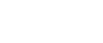BMI Investigazioni logo