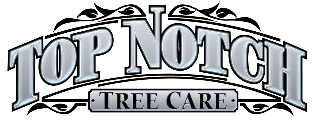 The logo for Top Notch Tree Care in Des Moines, IA