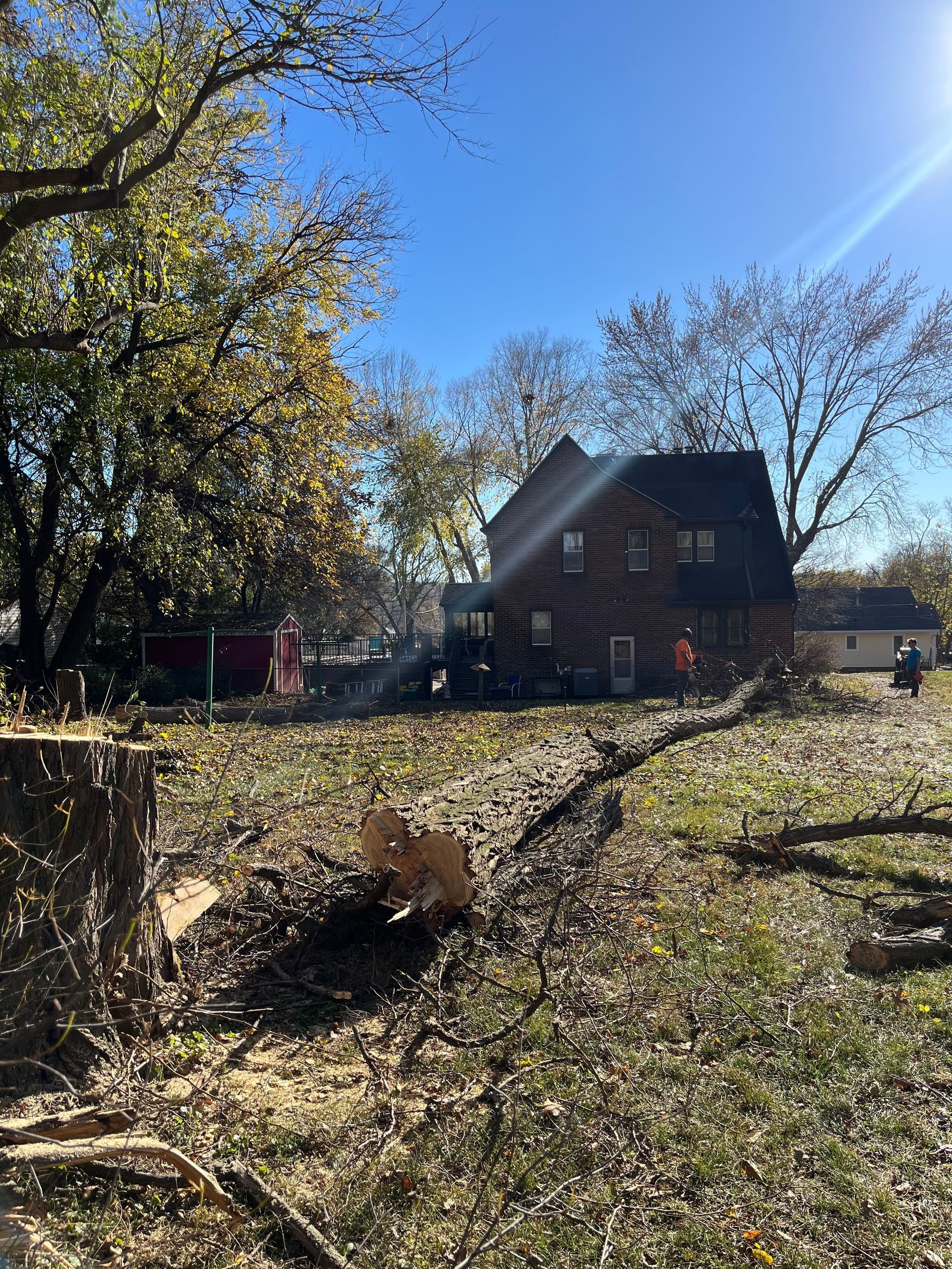 Tree stump and scattered branches on the ground; a log cabin house is in the background under a bright blue sky.