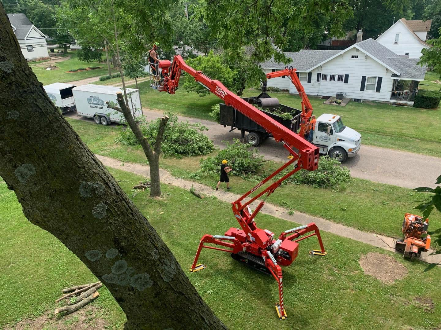 Tree removal crew using a cherry picker to cut a tree in a residential area.