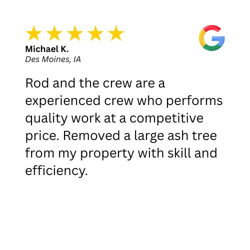 A 5-star client review for a tree removal in Des Moines, IA by Top Notch Tree Care