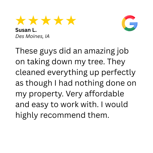 A 5-star client review for a tree removal in Des Moines, IA by Top Notch Tree Care