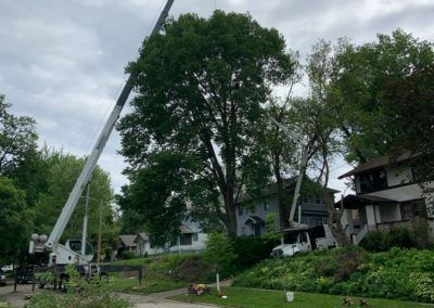 A crane tree service in Des Moines, IA by Top Notch Tree Care