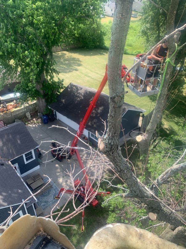 A tree pruning in Des Moines, IA by Top Notch Tree Care