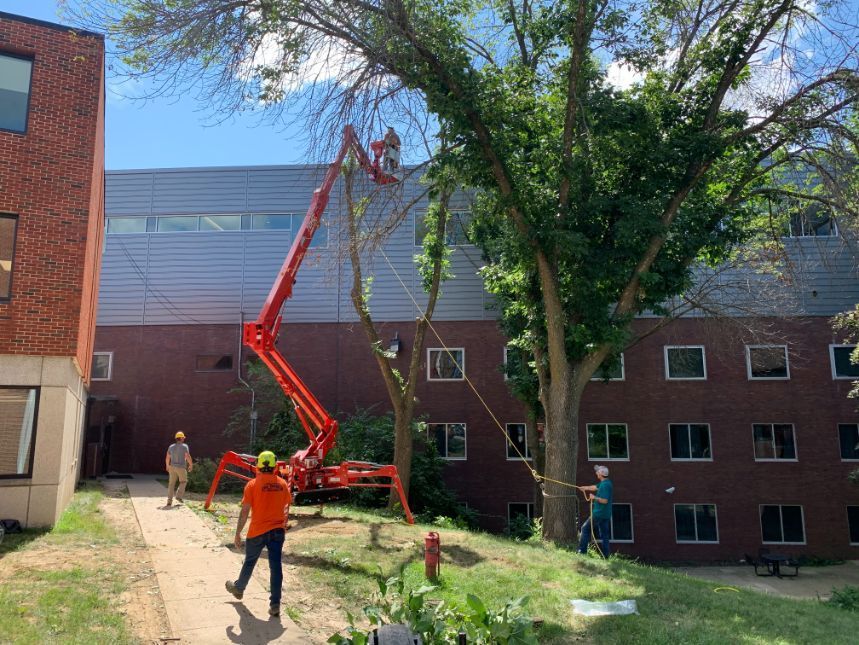 A tree risk assessment in Des Moines, IA by Top Notch Tree Care