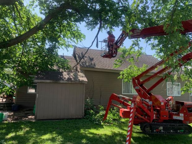 A tree removal service in Des Moines, IA by Top Notch Tree Care A tree removal service in Des Moines, IA by Top Notch Tree Care