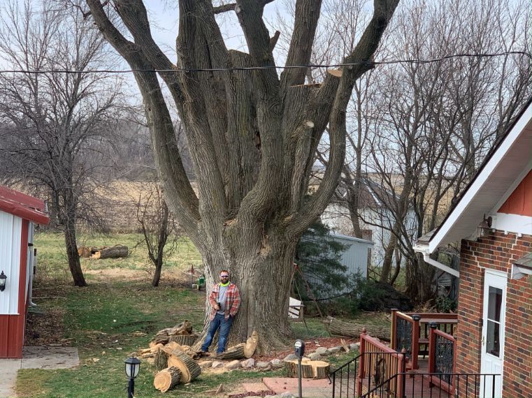 A professional tree service in Des Moines, IA by Top Notch Tree Care