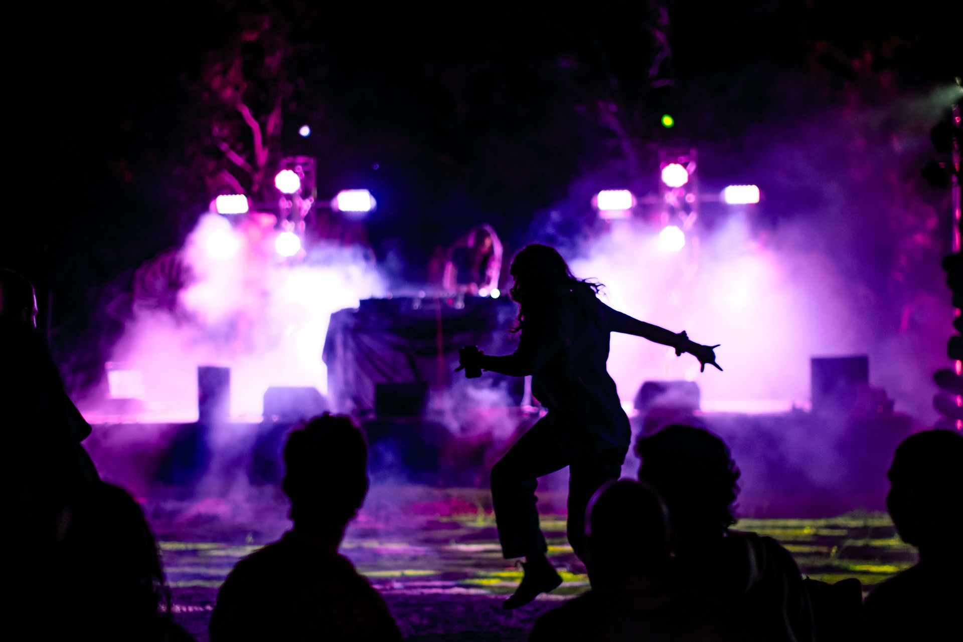 Artist at the Desert Festival