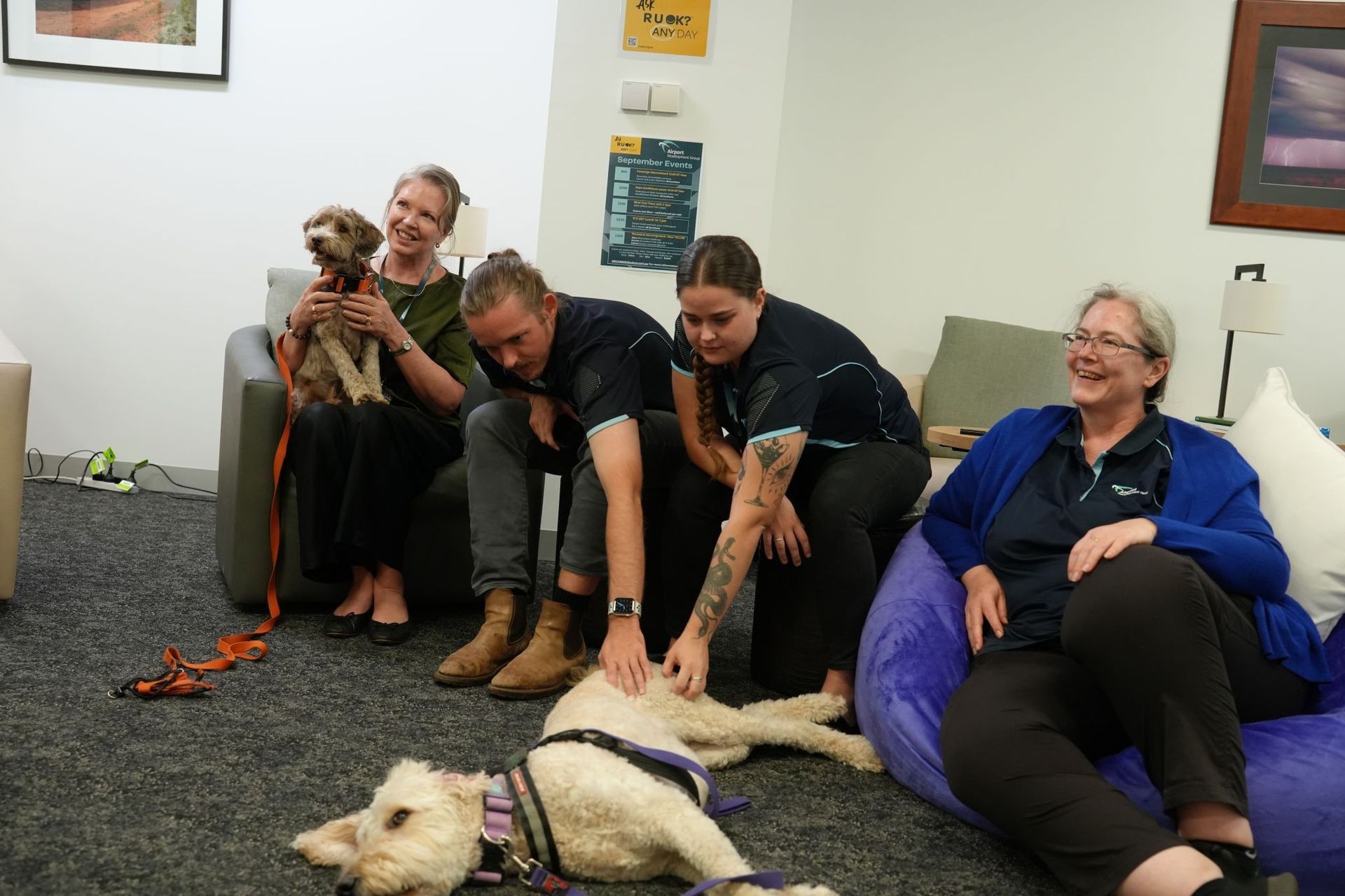 ADG Staff with dogs from Therapy Dogs Australia