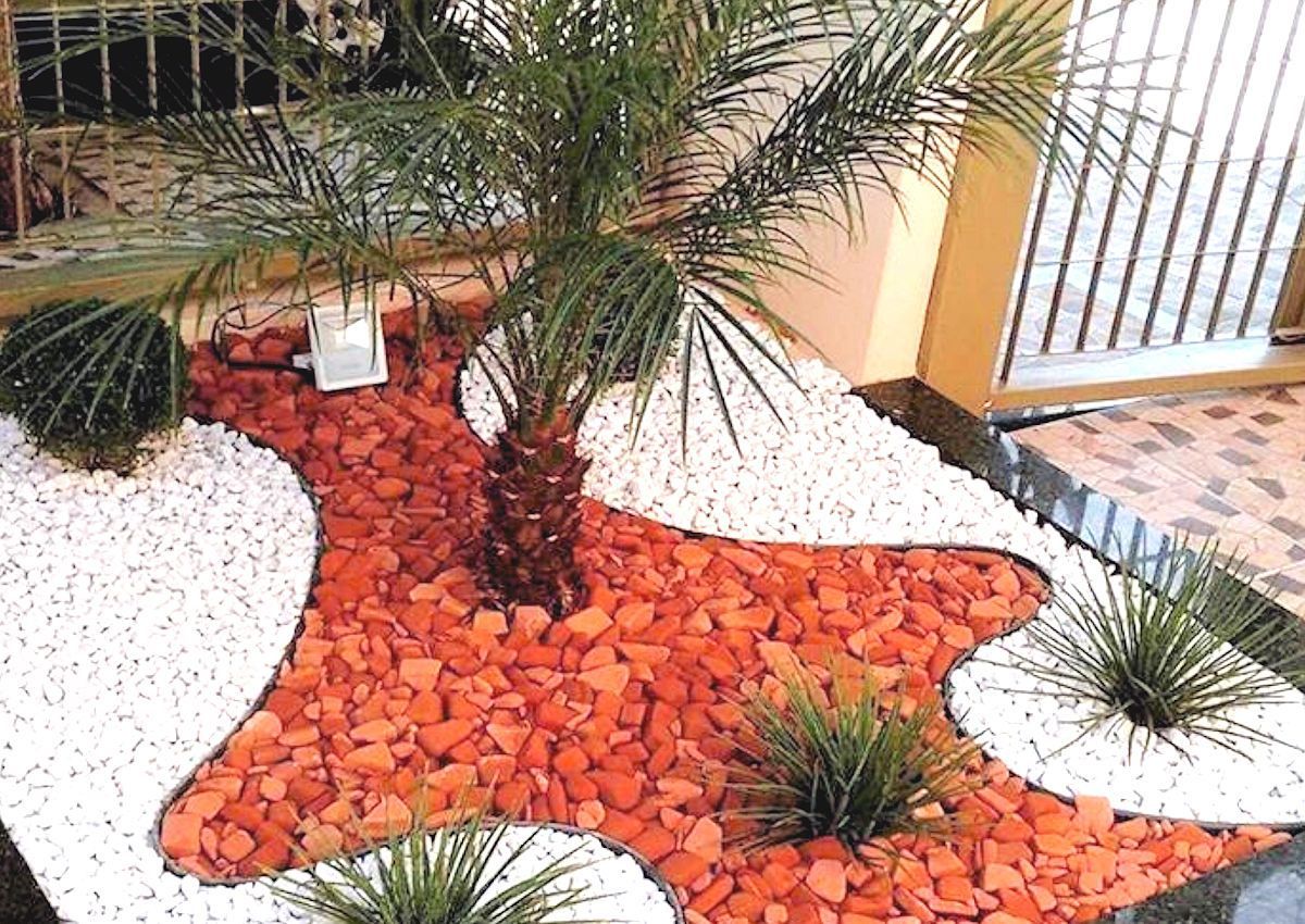 Garden bed with a palm tree, orange and white rock, and spiky green plants.