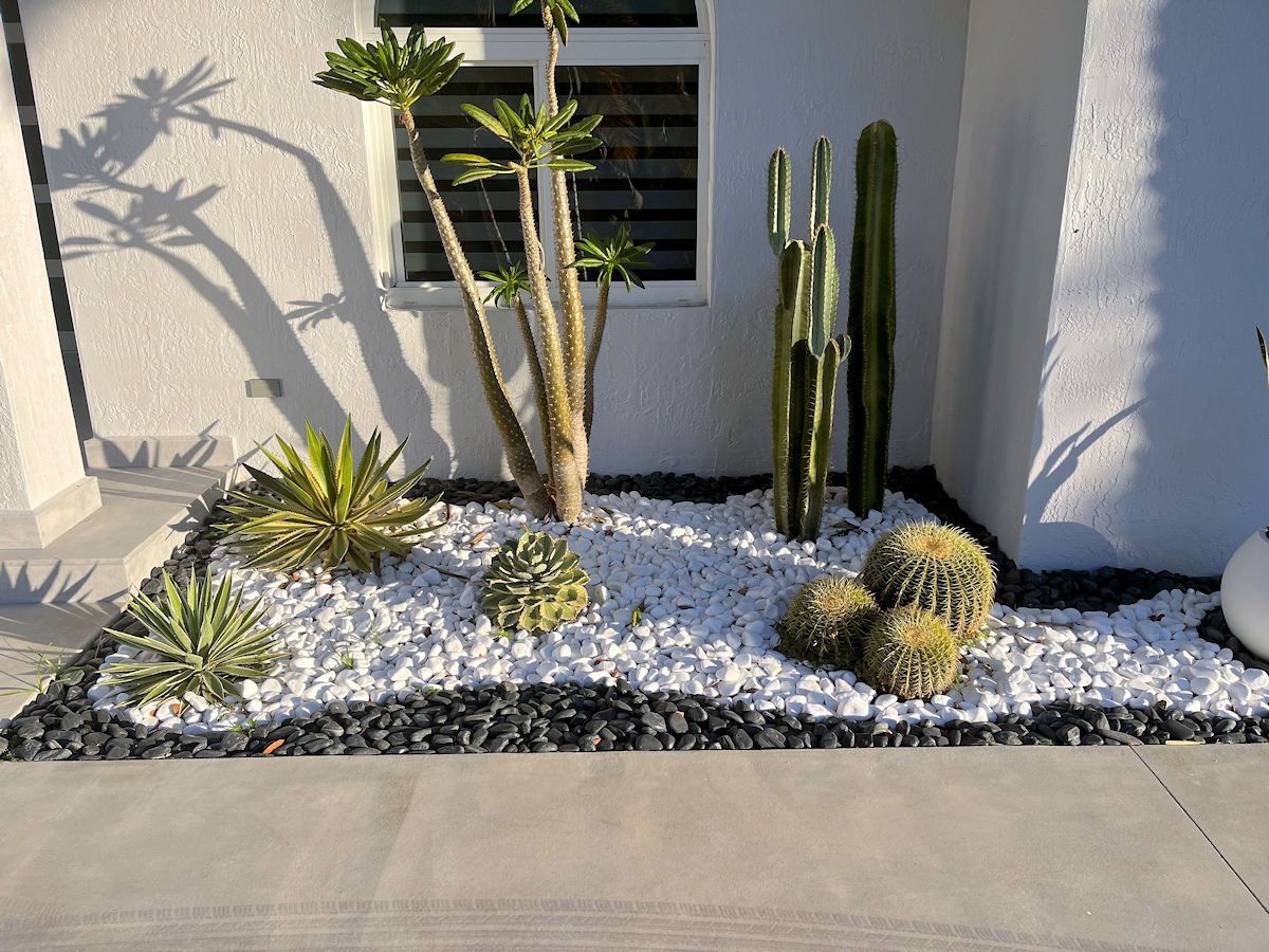 Succulent garden bed with white rock and cacti against a white stucco wall.