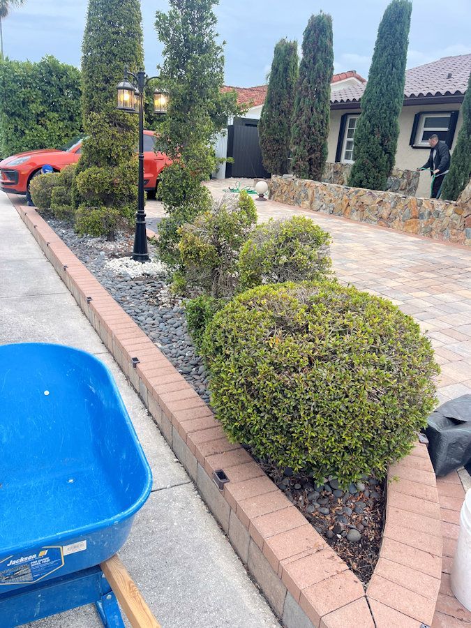 A blue wheelbarrow is sitting on the side of a driveway next to a red car.