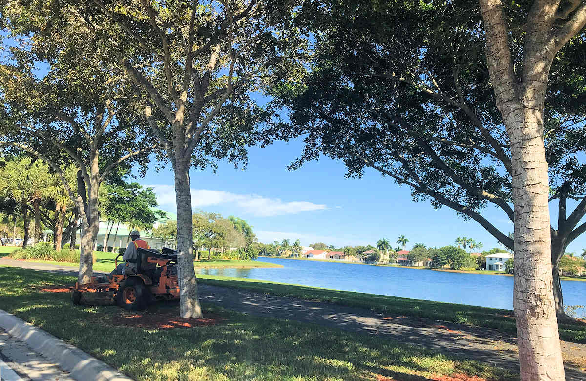 Residential Grounds Mainteneance by Ground Experts in Miami-Dade and Broward Counties in South Florida