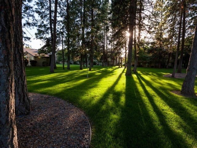 Cedar Hollow Apartments