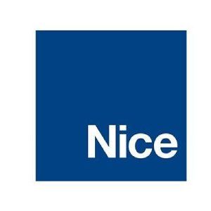 Logo Nice