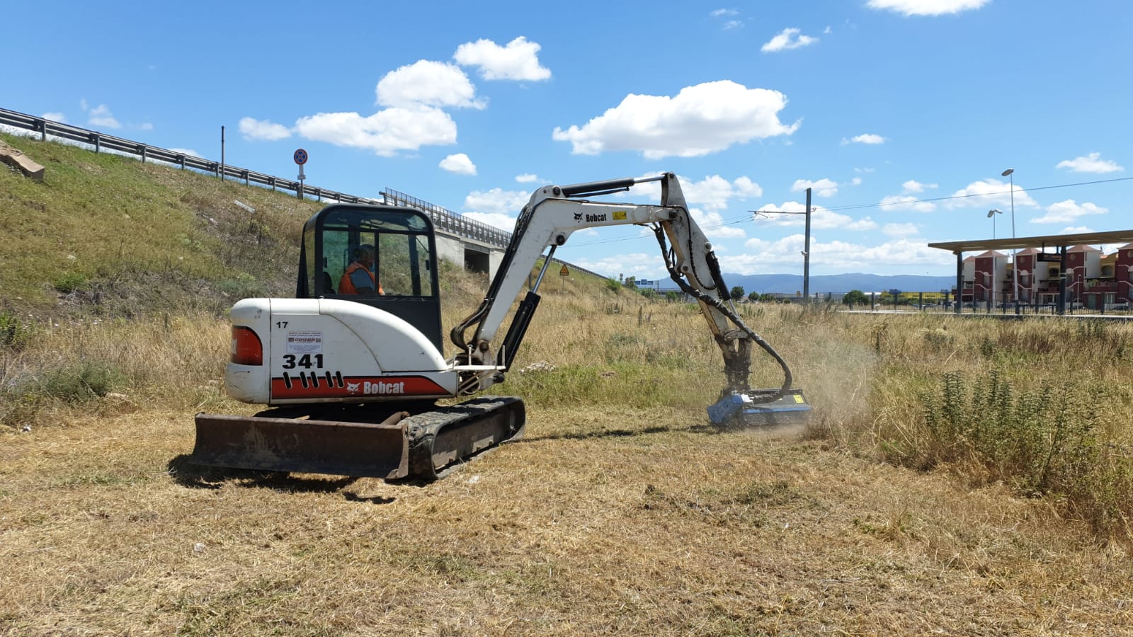 giardino con sentiero in pietra