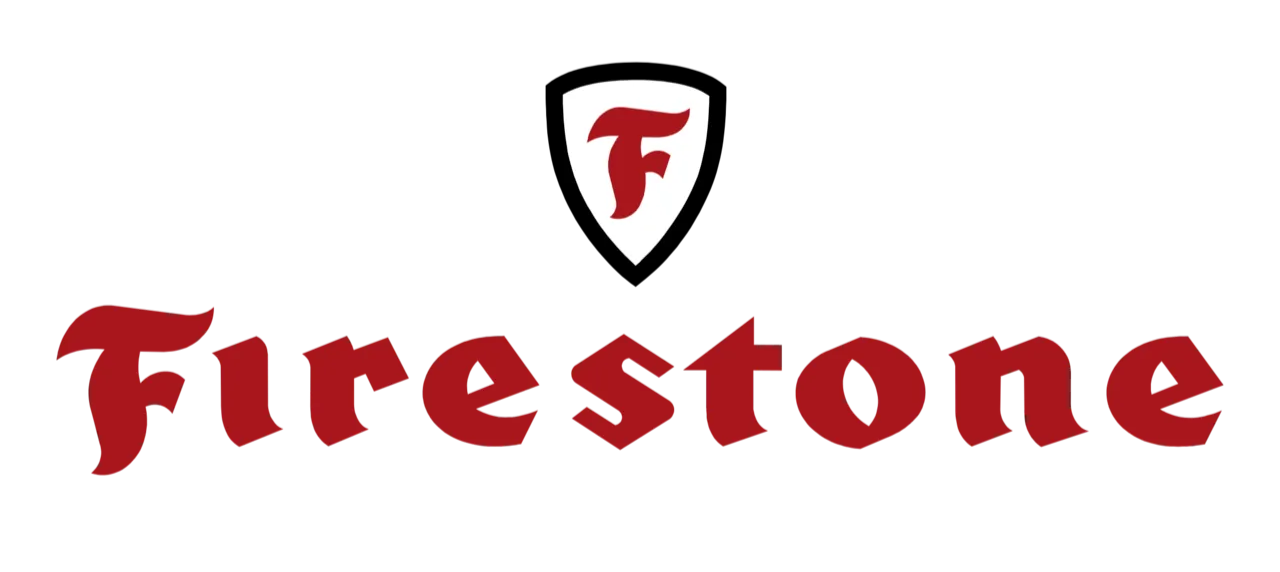 BFGoodrich Tires logo, red and blue, wordmark style.