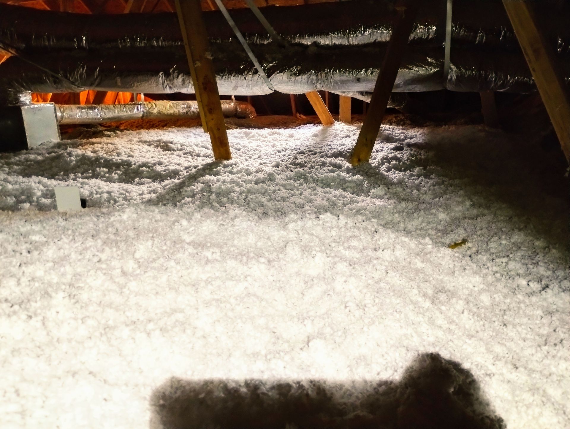 A shadow of a cat is cast on the floor of an attic.