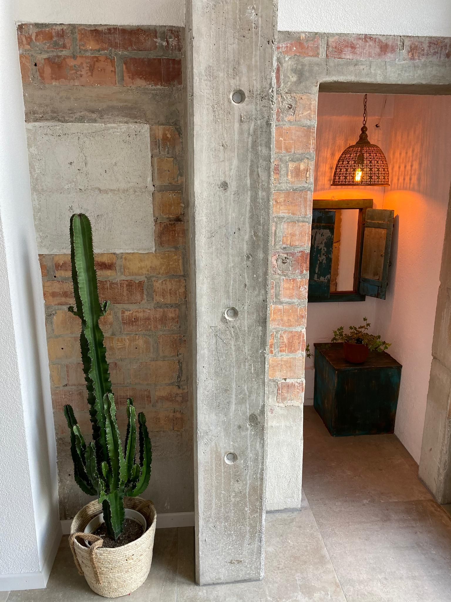 Grand cactus dans un pot tressé, à côté d'une colonne de soutien en béton. Briques et porte en arrière-plan.