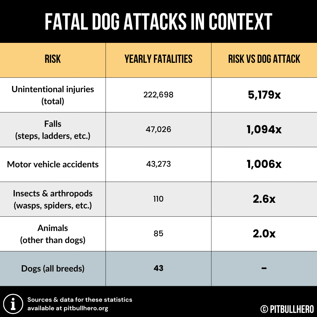 fatal dog attacks vs common risks chart