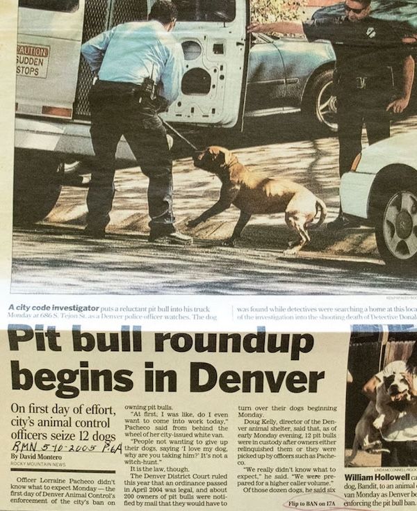 pit bull ban denver animal control