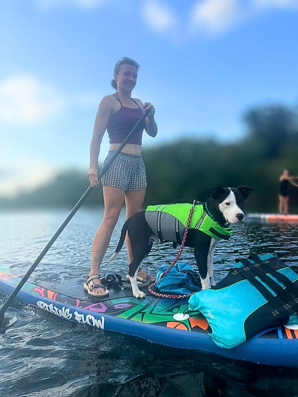 pit bull dog on kayak