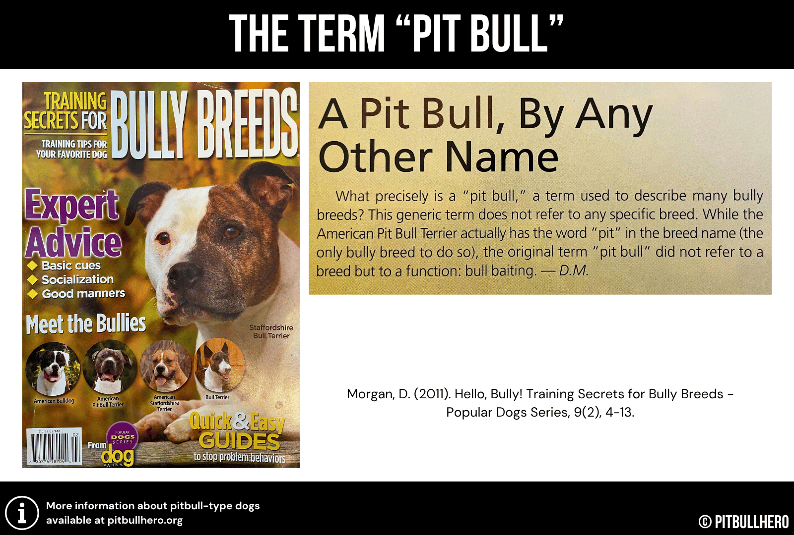 pit bull terminology infographic