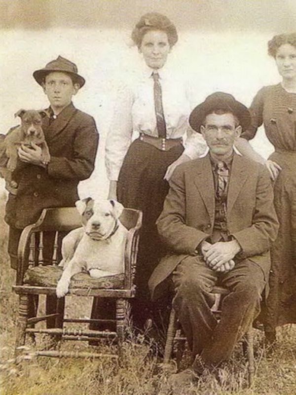 homestead family with pit bulls