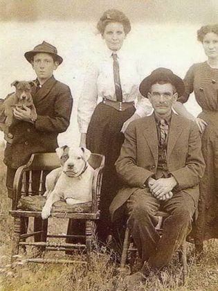 homestead family with pit bull dogs