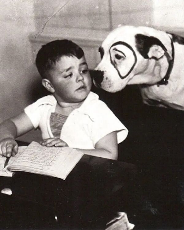 pete the pup pit bull