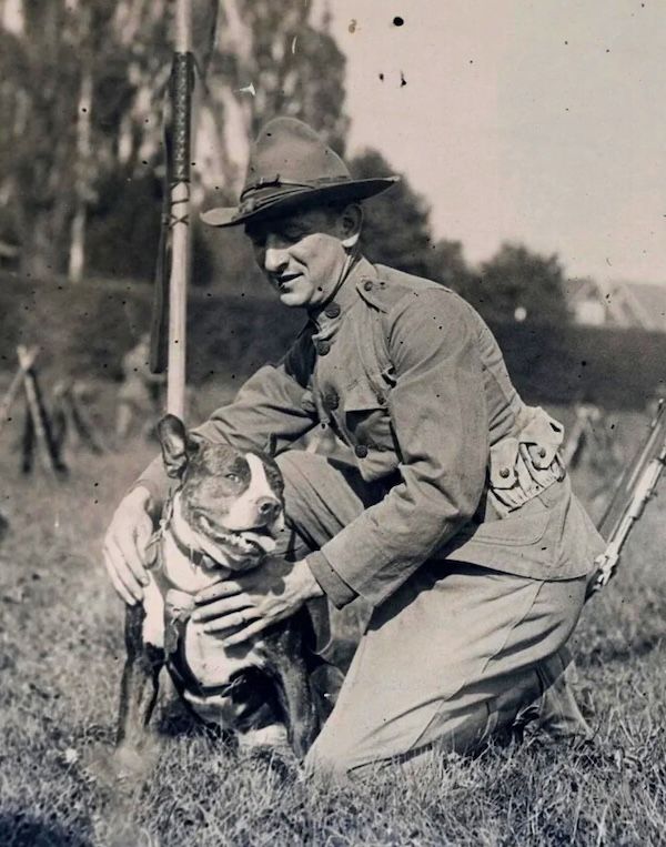 ww1 soldier with pit bull dog