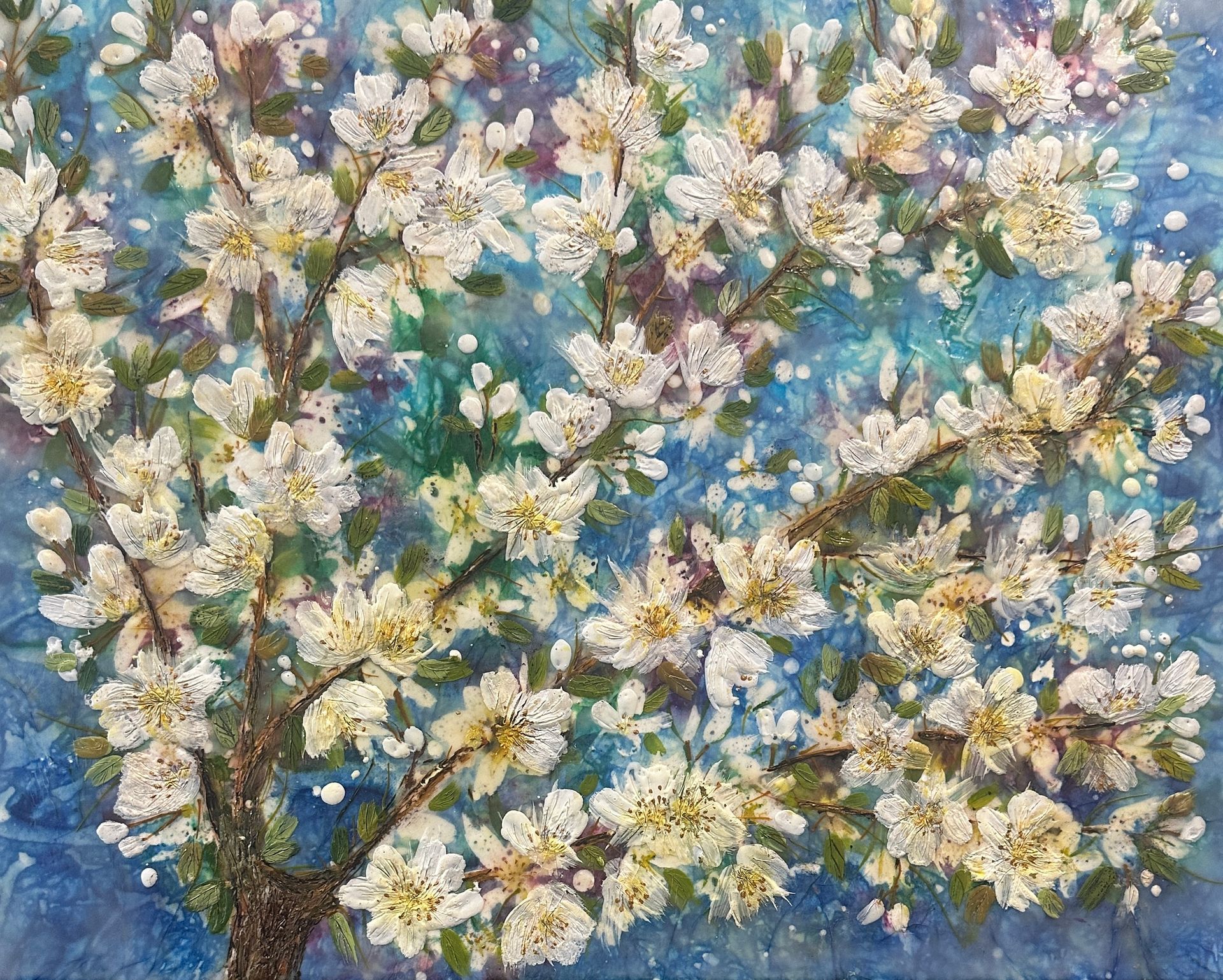 Blackthorn Blossoms