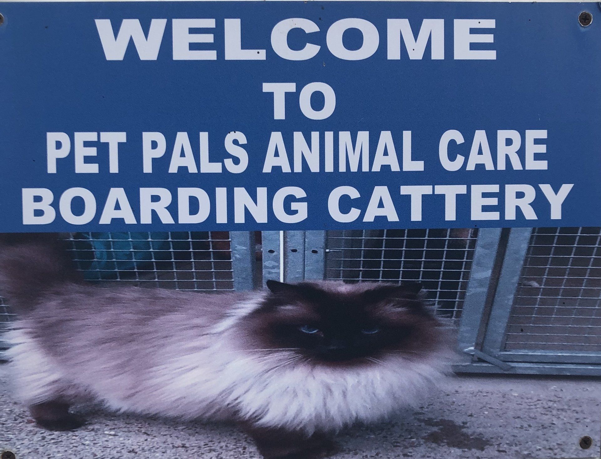 Pet Pals Boarding Cattery