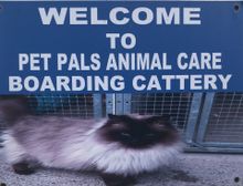 Pet Pals Boarding Cattery