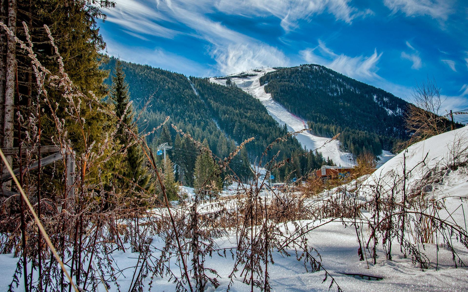 A snowy landscape with a mountain in the background and trees in the foreground.