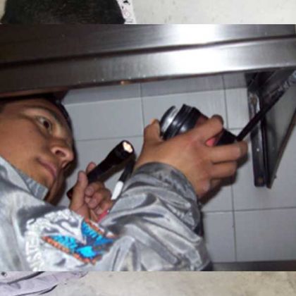 Control de plagas