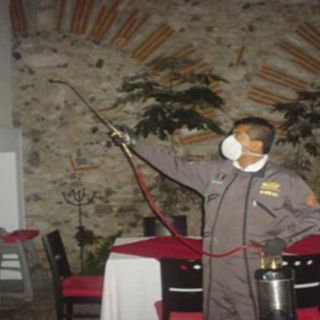 Control de plagas